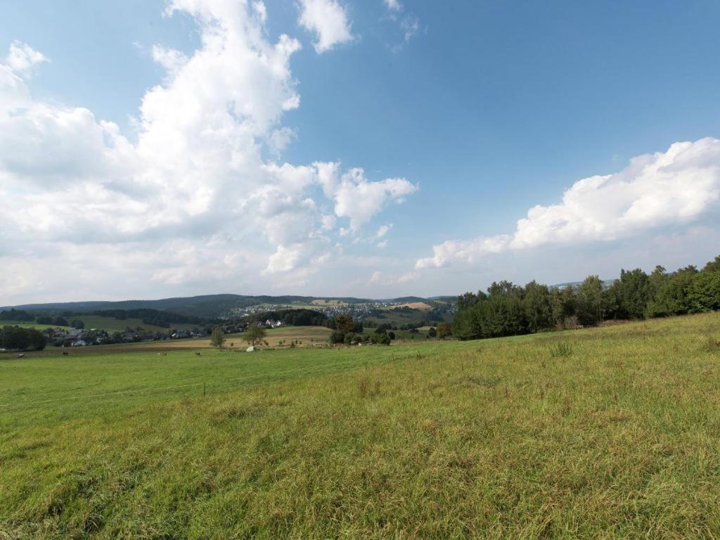 Ferienwohnung Ripa Erzgebirge In Schwarzenberg Schwarzenberg  Exterior photo
